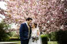 Bride and groom in front of a cherry blossom tree